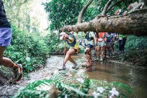 BIB: 
                            <button type="button" onclick="openModal(25470234)" class="btn btn-primary btn-sm float-right btn-popup" data-toggle="modal" data-target=".modal-high-quality">
                        <i class="fas fa-shopping-cart"></i> Add to Cart
                    </button>
                                            <button type="button" onclick="isThisMe(25470234, true)" class="btn btn-success btn-sm float-right btn-popup btn-isme hidden" data-toggle="tooltip" data-placement="bottom" title="นี่คือรูปของคุณใช่ไหม คลิกที่นี่เพื่อเอาเข้าอัลบั้ม">
                        <i class="fas fa-plus"></i> Add to album
                    </button>
                    <button type="button" onclick="isThisMe(25470234, false)" class="btn btn-warning btn-sm float-right btn-popup btn-isnotme hidden">
                        <i class="fas fa-ban"></i> Remove from album
                    </button>